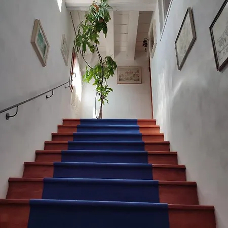 Domus Titianus Xv - Murano *