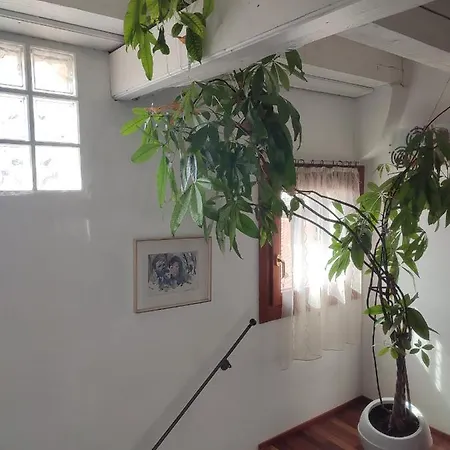 Domus Titianus Xv - Murano